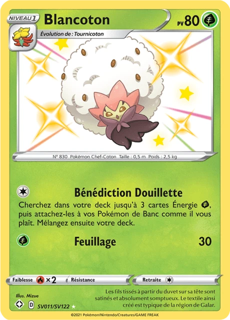Blancoton – Holo