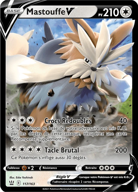 Mastouffe V – Holo