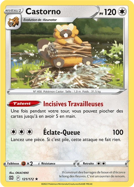 Castorno – Holo