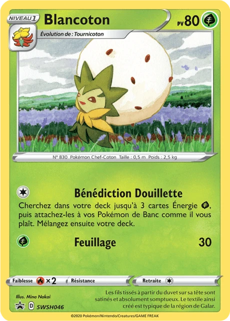 Blancoton – Holo