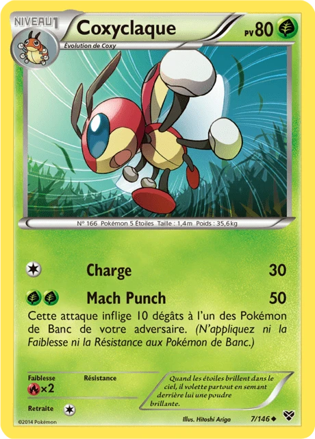 Coxyclaque