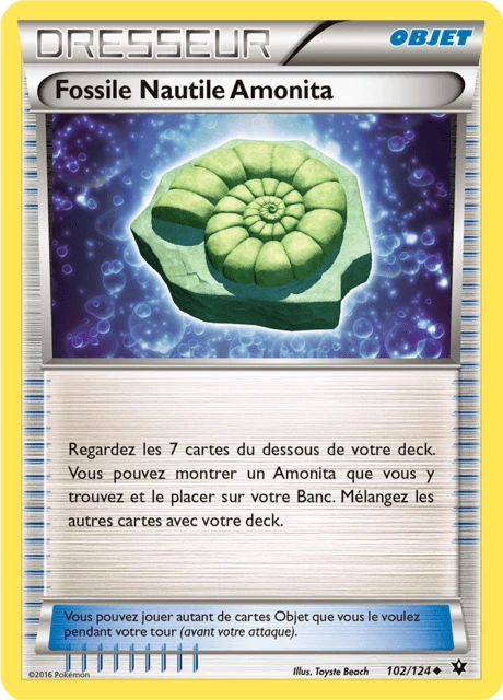 Fossile Nautile Amonita – Normal