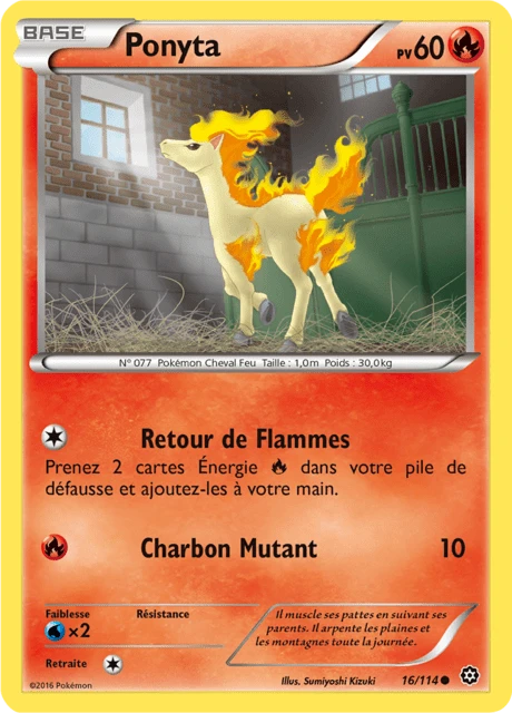 Ponyta