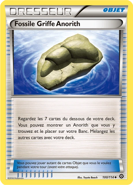 Fossile Griffe Anorith – Normal