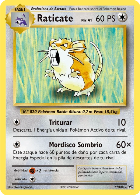 Raticate – Normal