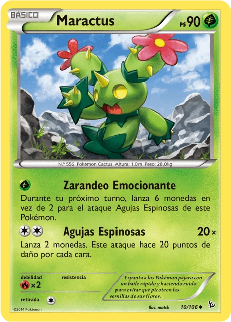 Maractus – Normal
