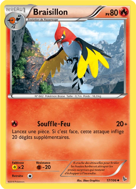 Braisillon
