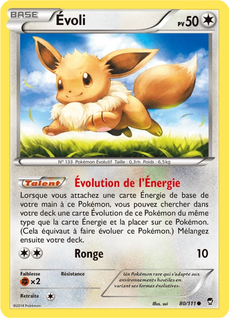 Évoli – Reverse Holo