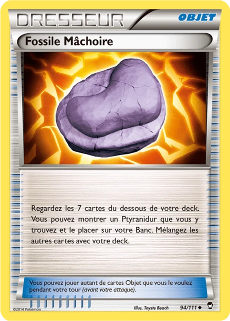 Fossile Mâchoire – Normal