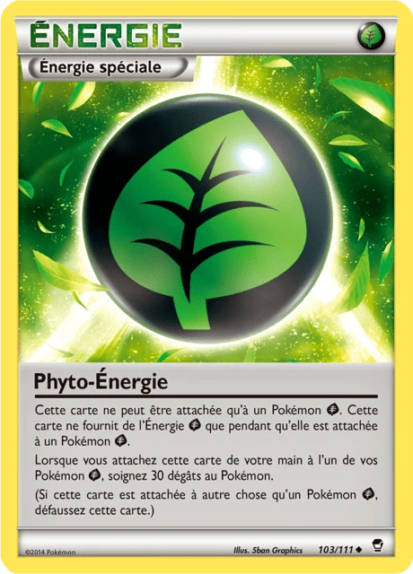 Phyto-Énergie – Reverse Holo