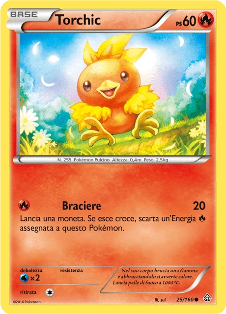 Torchic