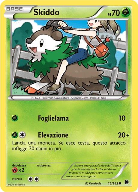 Skiddo