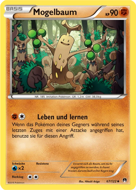 Mogelbaum – Normal