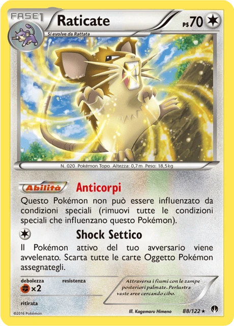 Raticate – Reverse Holo