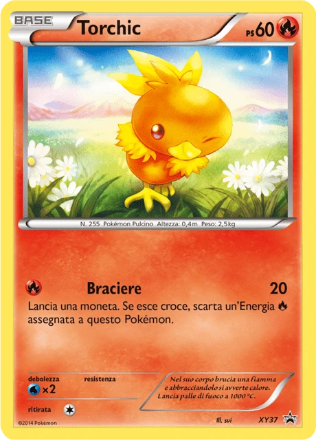 Torchic